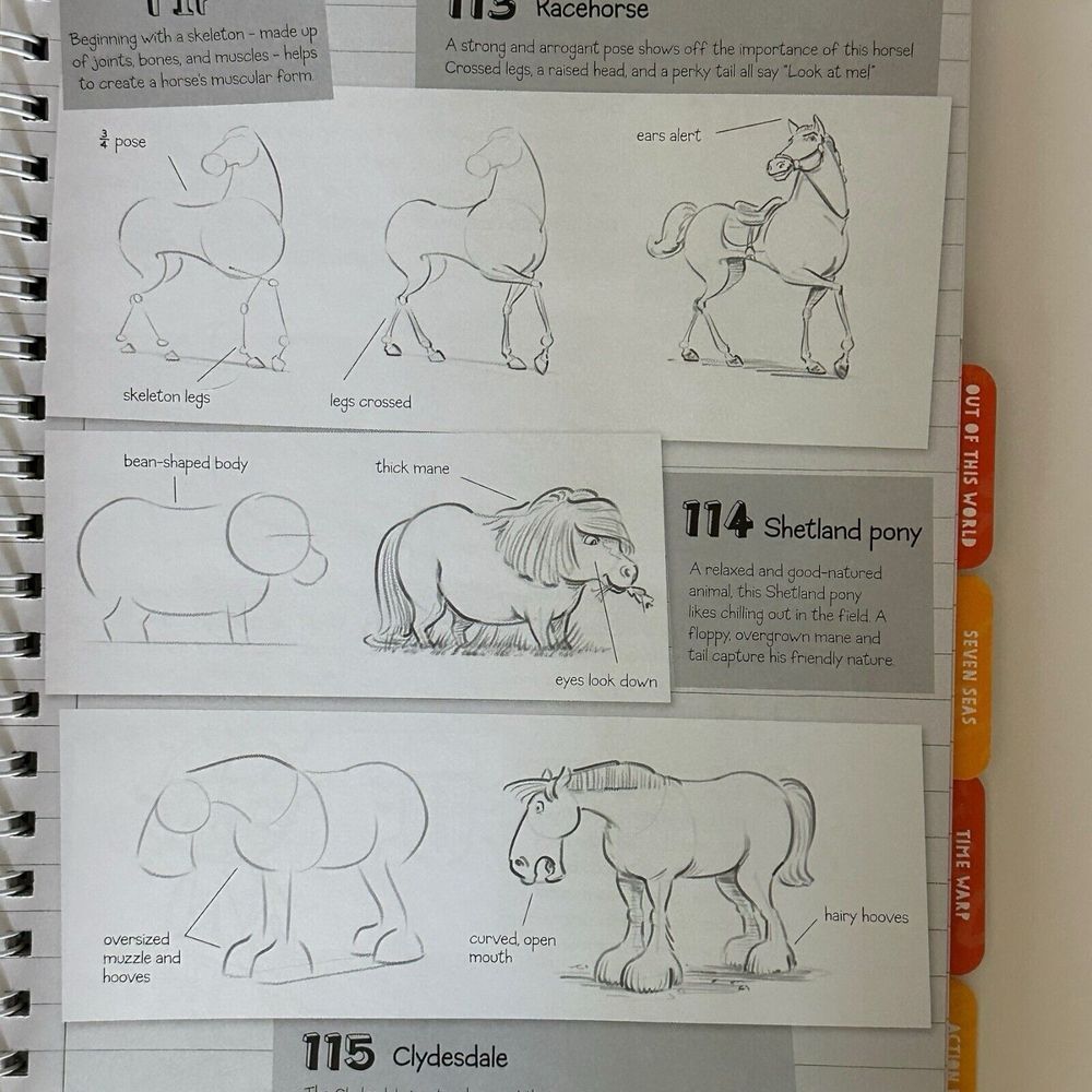 Learn To Sketch - Picture 4 of 6